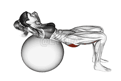 Lying Hip Lift demonstration