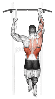 One Arm Chin-Up demonstration