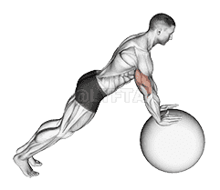 Push-up demonstration