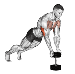 Push-Up Close-grip off Dumbbell demonstration