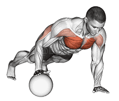 Push-Up Medicine Ball demonstration