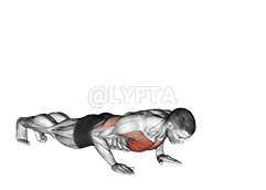 Raise Single Arm Push-up demonstration