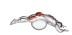 Reverse Hyper extension demonstration