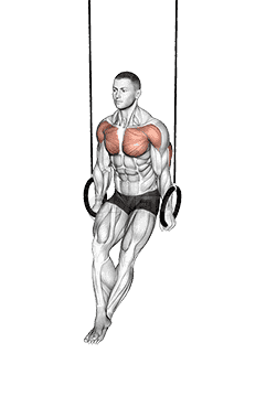 Ring Dips demonstration