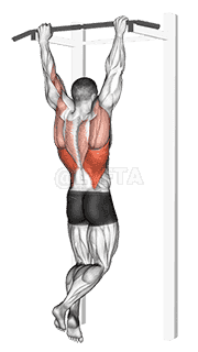 Rocky Pull-Up Pulldown demonstration
