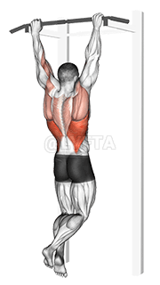 Rocky Pull-Up Pulldown demonstration