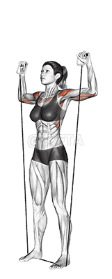 Shoulder Press demonstration