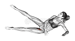 Side Lying Feet Raise demonstration