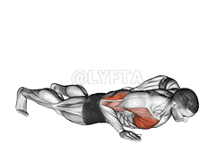 Single Arm Push-up demonstration