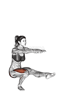 Single Leg Squat demonstration
