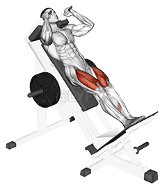 Sled Closer Hack Squat demonstration