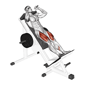 Sled Hack Squat demonstration