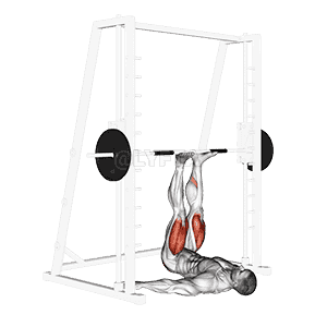 Smith Leg Press demonstration