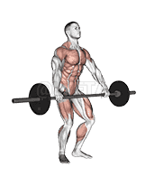 Snatch Pull demonstration
