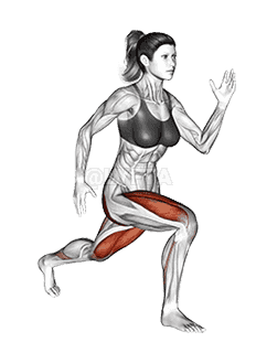 Split Squat demonstration