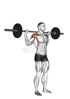 Standing Behind Neck Press demonstration
