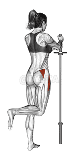 Standing Hip Abduction demonstration
