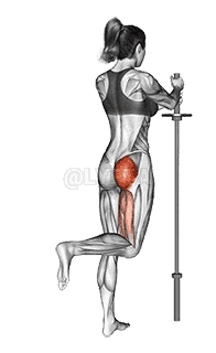 Standing Hip Extension demonstration