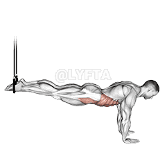 Suspended Reverse Crunch demonstration
