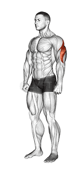 Triceps Stretch demonstration