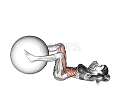 Weighted Leg Extension Crunch demonstration