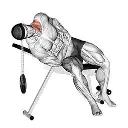 Weighted Lying Side Lifting Head demonstration