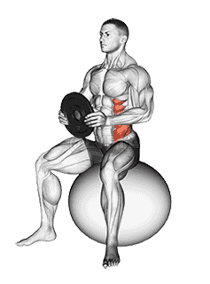 Weighted Seated Twist demonstration