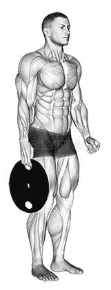 Weighted Standing Hand Squeeze demonstration