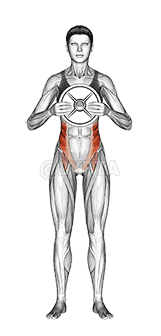 Weighted Standing Twist demonstration