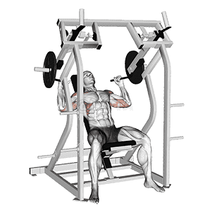 Lever Shoulder Press demonstration