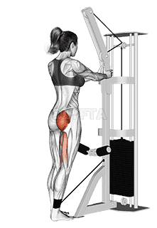 Cable standing hip extension demonstration