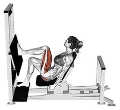 Lever Horizontal One leg Press demonstration