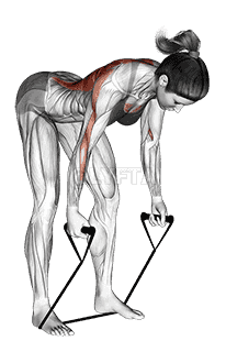 Band bent-over row demonstration