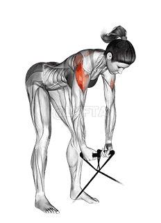 Band bent-over rear lateral raise demonstration