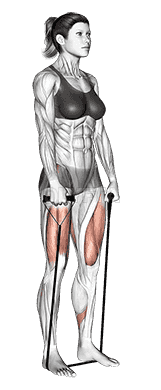 Band deadlift demonstration