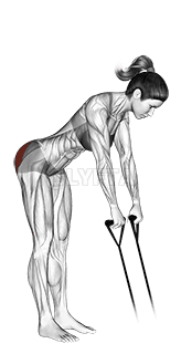 Band hip extension demonstration