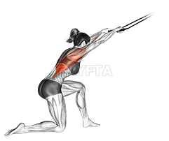 Band kneeling pulldown demonstration