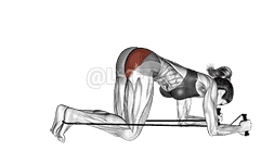 Band kneeling rear kick demonstration