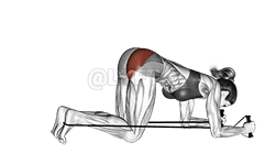 Band kneeling rear kick demonstration
