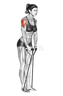 Band lateral raise demonstration