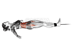 Band lying leg and hip raise demonstration
