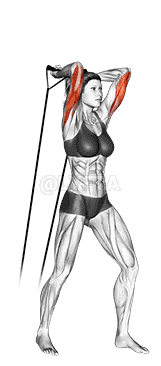 Band overhead triceps extension demonstration