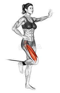 Band standing leg extension demonstration