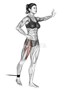 Band standing straight leg raise demonstration