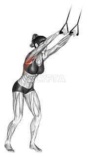 Band straight-arm pulldown demonstration