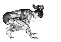 Crane Pose demonstration