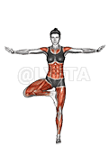 Tree Pose Vrksasana demonstration