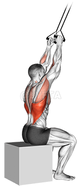 Band close-grip pulldown demonstration