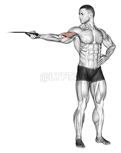 Band one arm overhead biceps cur demonstration