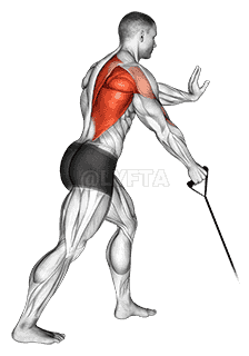 Band one arm Standing Low Row demonstration